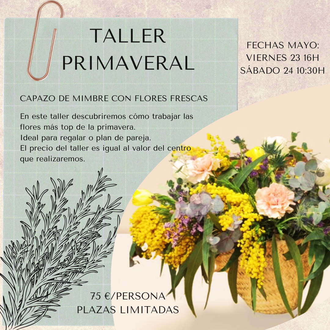 taller primavera