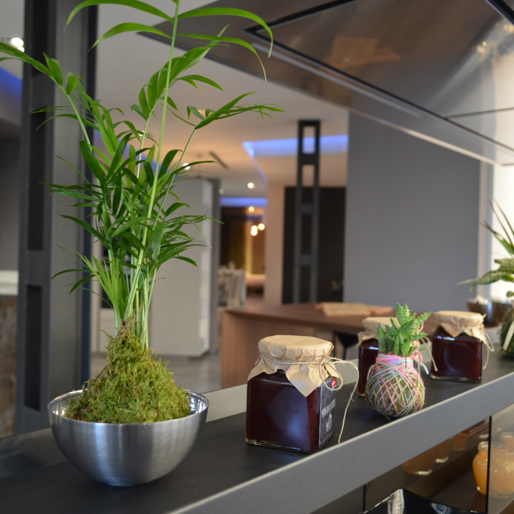 kokedama