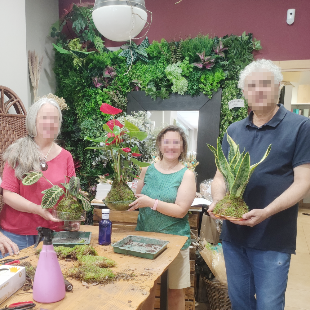 tallerkokedama